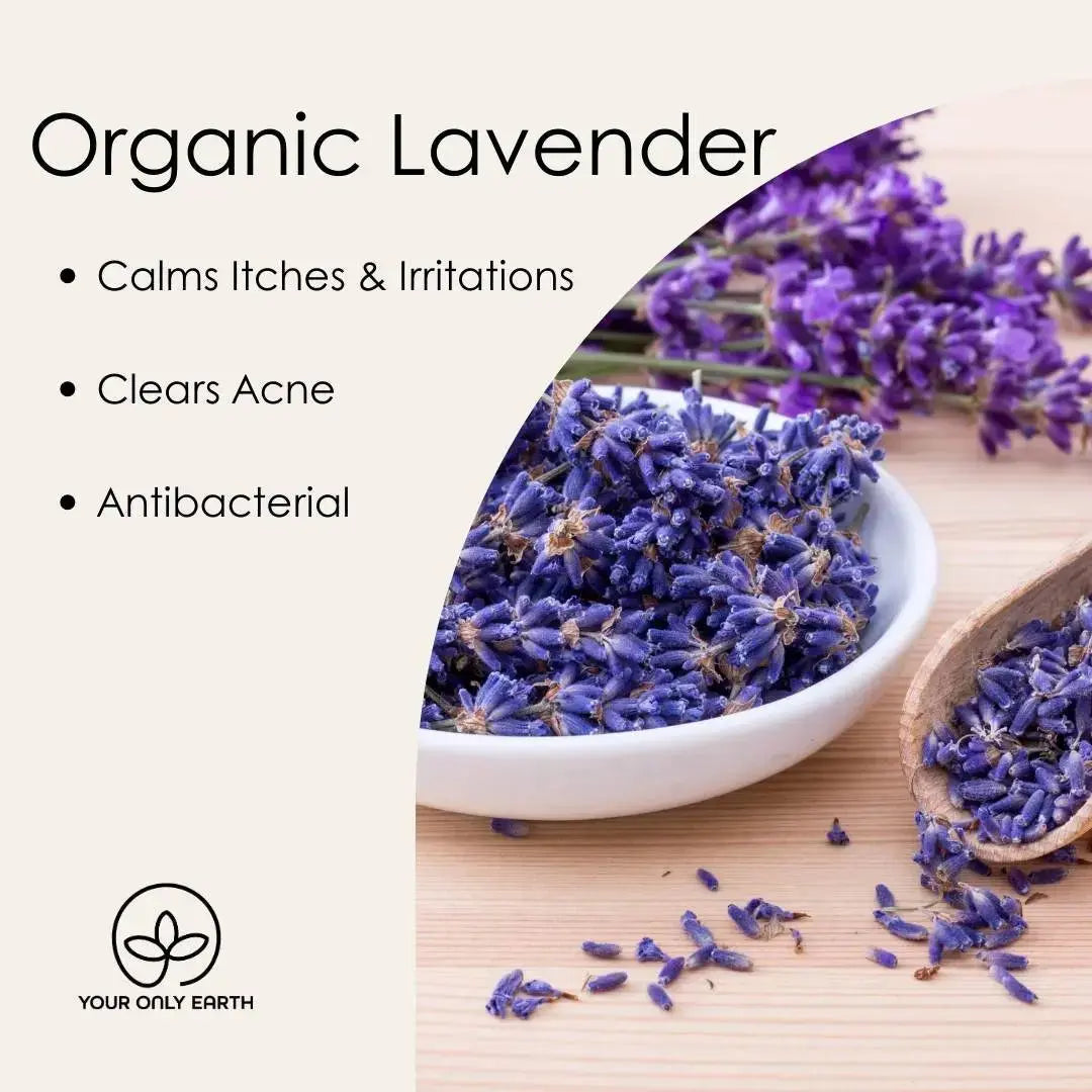Lavender Balm (Copy) Your Only Earth